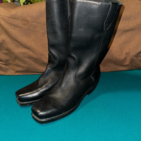 DINGO - Picture 2 of 6